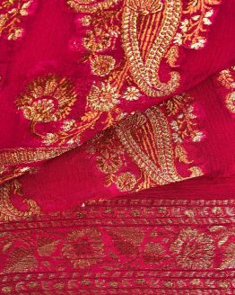 Beautiful Indian Women's Online Sari Rental